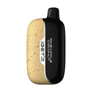 iget aus - Professional Guide and Review