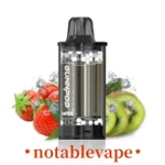Strawberry Kiwi Ice Flavour