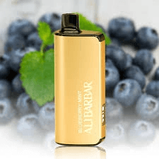 mint vape - Professional Guide and Review