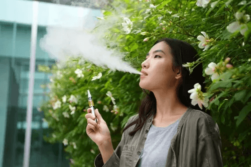 Disposable Vapes Australia user review checklist for authenticity flavour and compliance