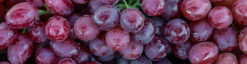 Grape 3
