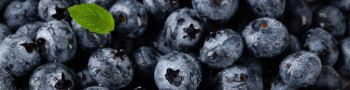 blueberry