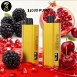 Alibarbar TEQ 12000 Puffs-Blackberry Poegranate Cherry
