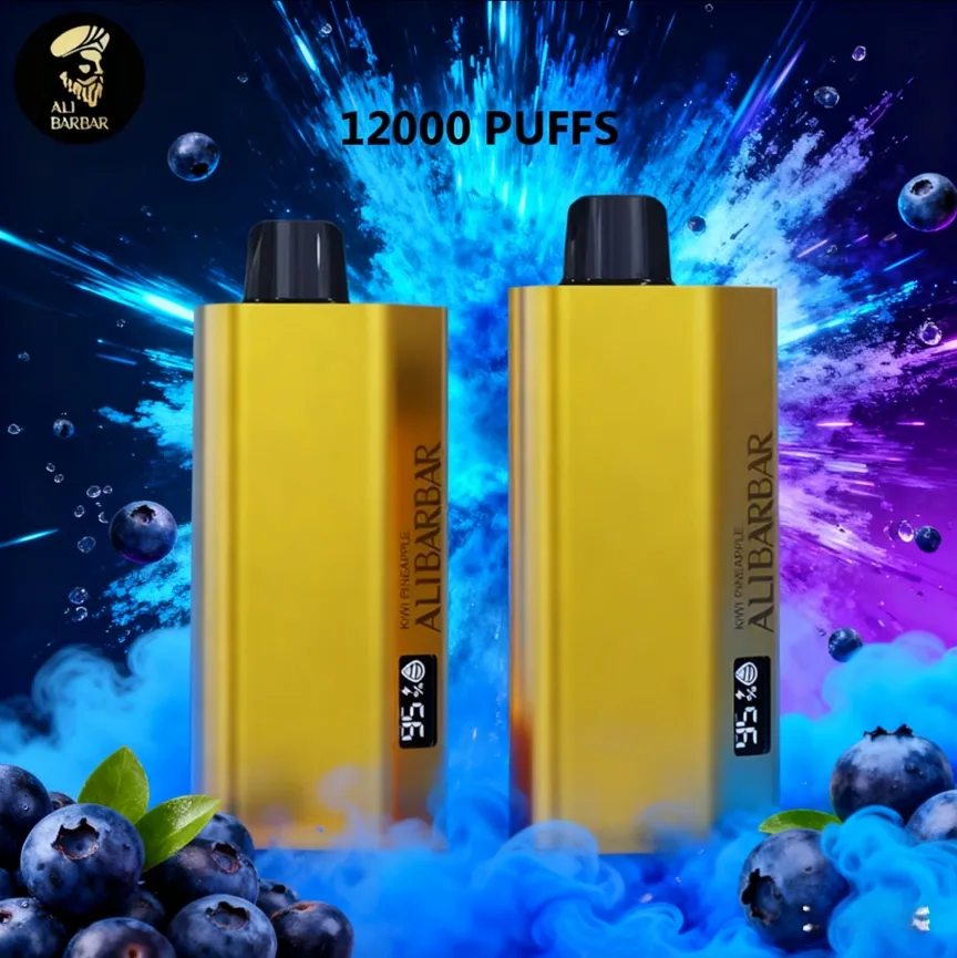 Alibarbar rechargeable vape TEQ 12000 blueberry blast device