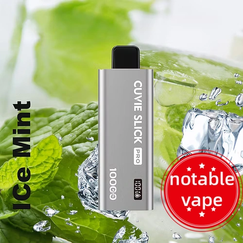 nicotine pods australia HQD Slick Pro Ice Mint 10000 puffs