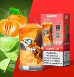 jnr 16kpuffs-jnr-falon-16000-puffs-strawberry-pinacolada