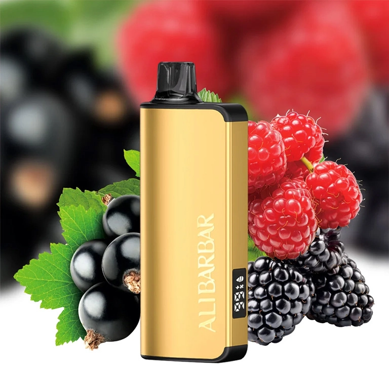 alibarbar ingot e cigarettes ALIBARBAR INGOT 9000 QUADRUPLE BERRY