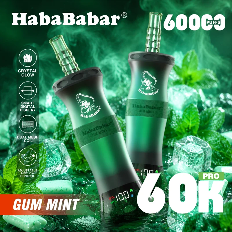 Habababar 60K Puffs Shisha – Gum Mint